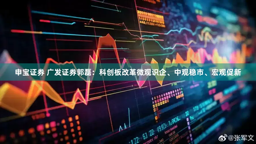 申宝证券 广发证券郭磊：科创板改革微观识企、中观稳市、宏观促新