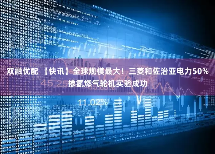 双融优配 【快讯】全球规模最大！三菱和佐治亚电力50%掺氢燃气轮机实验成功