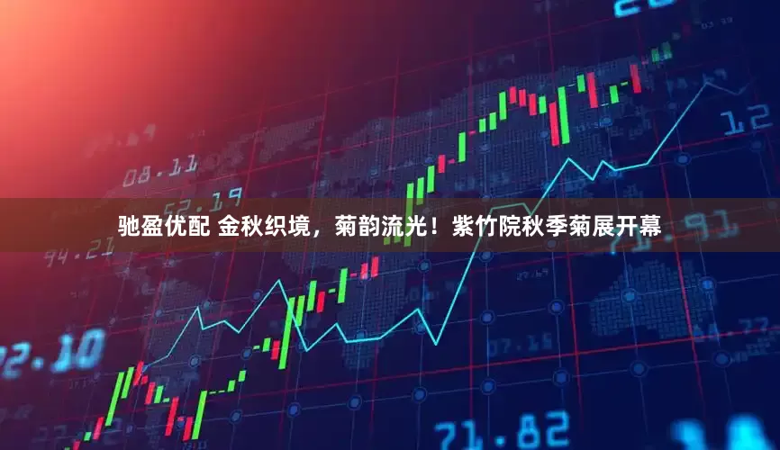 驰盈优配 金秋织境，菊韵流光！紫竹院秋季菊展开幕