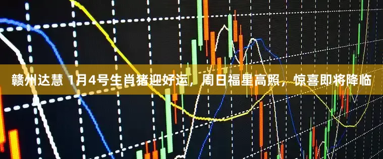 赣州达慧 1月4号生肖猪迎好运，周日福星高照，惊喜即将降临