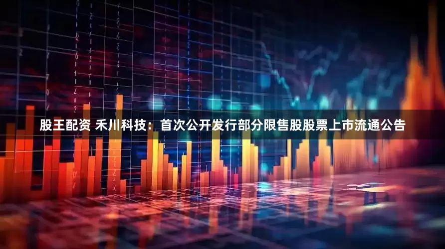 股王配资 禾川科技：首次公开发行部分限售股股票上市流通公告
